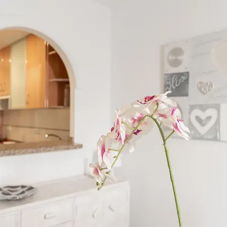 Monko Brisas Del Mar *