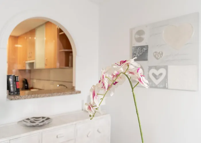 Monkó Brisas Del Mar *